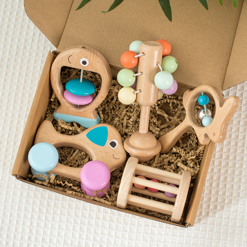 Newborn  Beech  5-Piece Wooden Sensory Educational SEt Toys